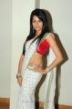 Telugu Heroine Amrutha Hot in White Saree with Red Blouse