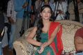 Actress Amy Jackson at Shiva Thandavam Audio Launch