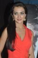 Actress Amy Jackson Pics at Thandavam Trailer Launch