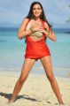 Actress Amy Jackson Hot Bikini Spicy Pics in Yevadu Movie