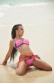 Actress Amy Jackson Hot Bikini Pics in Yevadu Movie