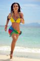 Yevadu Movie Actress Amy Jackson Spicy Hot Bikini Pics