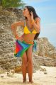Yevadu Actress Amy Jackson Hot Pics in Bikini Dress