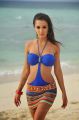 Yevadu Movie Actress Amy Jackson Spicy Hot Bikini Pics