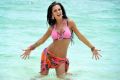 Actress Amy Jackson Hot Bikini Spicy Pics in Yevadu Movie
