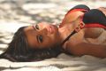 Yevadu Movie Actress Amy Jackson Hot Bikini Pics