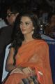 Actress Amy Jackson in Transparent Saree Hot Photos