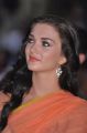 Actress Amy Jackson Hot in Saree Photos
