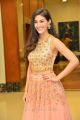 Actress Amyra Dastur Latest Stills @ RajuGadu Pre-Release Function