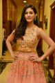 Actress Amyra Dastur Latest Stills @ Raju Gadu Pre-Release Event