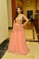 Actress Amyra Dastur Latest Stills @ Raju Gadu Pre-Release Function