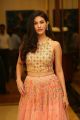 Actress Amyra Dastur Latest Stills @ Raju Gadu Pre-Release Function