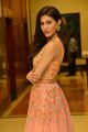 Actress Amyra Dastur Latest Stills @ Raju Gadu Movie Pre-Release Function