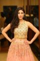 Actress Amyra Dastur Latest Stills @ Raju Gadu Pre-Release Function