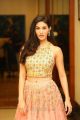 Actress Amyra Dastur Latest Stills @ Raju Gadu Pre-Release Function