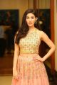 Actress Amyra Dastur Latest Stills @ Raju Gadu Pre Release