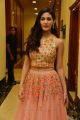 Actress Amyra Dastur Latest Stills @ Raju Gadu Movie Pre-Release Function