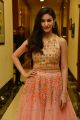 Actress Amyra Dastur Latest Stills @ Raju Gadu Movie Pre-Release Function