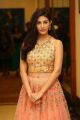 Actress Amyra Dastur Latest Stills @ Raju Gadu Pre-Release Function