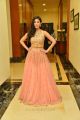 Actress Amyra Dastur Latest Stills @ Raju Gadu Pre-Release Event