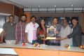 Anaganaga Ala Jarigindi Platinum Disc Function Stills