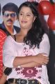 Anaganaga Audio Release Function Stills