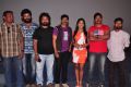 Anaganaga Movie Success Meet Photos