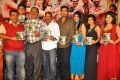 Anandam Malli Modalaindi Movie Audio Launch Function Stills