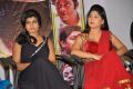 Anandam Malli Modalaindi Movie Audio Launch Function Stills