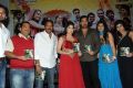 Anandam Malli Modalaindi Movie Audio Launch Function Stills