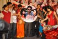 Anandam Malli Modalaindi Movie Audio Launch Function Stills