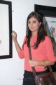 Bhanu Sri Mehra at Anandapriya Foundation Paint Exhibition in Muse Art Gallery