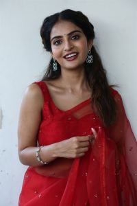 Actress Ananya Nagalla Photos @ Sreekakulam Sherlock Holmes Trailer Launch