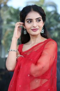 Sreekakulam Sherlock Holmes Heroine Ananya Nagalla Red Saree Photos