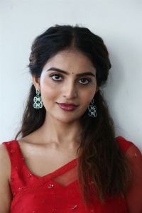 Actress Ananya Nagalla Photos @ Sreekakulam Sherlock Holmes Trailer Launch