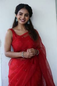 Ananya Nagalla Saree Photos @ Sreekakulam Sherlock Holmes Trailer Launch