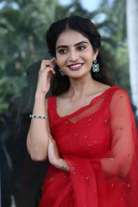 Ananya Nagalla Saree Photos @ Sreekakulam Sherlock Holmes Trailer Launch