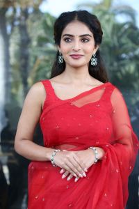 Ananya Nagalla Saree Photos @ Sreekakulam Sherlock Holmes Trailer Launch