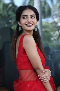 Ananya Nagalla Saree Photos @ Sreekakulam Sherlock Holmes Trailer Launch