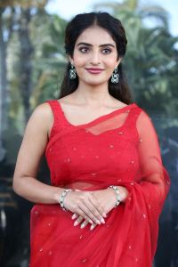 Sreekakulam Sherlock Holmes Actress Ananya Nagalla Red Saree Photos