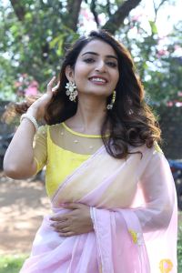 Srikakulam Sherlock Holmes Actress Ananya Nagalla Saree Stills