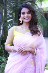 Srikakulam Sherlock Holmes Heroine Ananya Nagalla Saree Stills