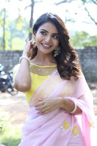 Srikakulam Sherlock Holmes Actress Ananya Nagalla Saree Stills