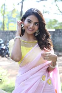 Srikakulam Sherlock Holmes Heroine Ananya Nagalla Saree Stills