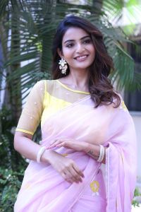 Ananya Nagalla Saree Stills @ Srikakulam Sherlock Holmes Teaser Launch