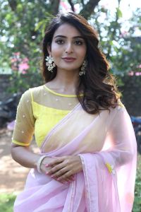 Srikakulam Sherlock Holmes Heroine Ananya Nagalla Saree Stills