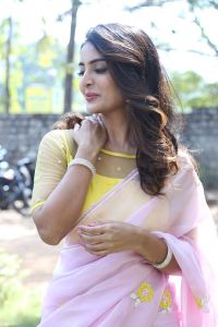 Srikakulam Sherlock Holmes Heroine Ananya Nagalla Saree Stills