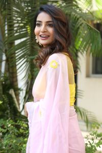 Ananya Nagalla Saree Stills @ Srikakulam Sherlock Holmes Teaser Launch