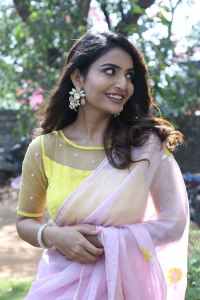 Srikakulam Sherlock Holmes Heroine Ananya Nagalla Saree Stills