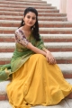 Vakeel Saab Actress Ananya Nagalla Saree Photos